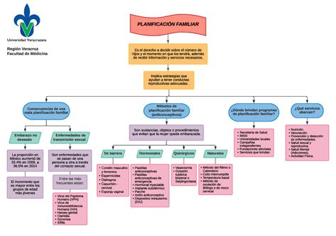 Esquema Planificacion Familiar Esquemas Y Mapas Conceptuales De