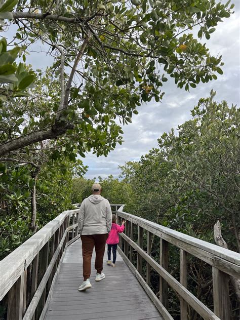 Find Your Bliss At Indian Rocks Beach Nature Preserve