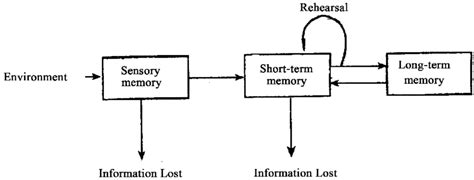 Human Memory Diagram