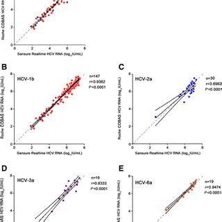 High Correlations Were Observed In Measurements Of Hcv Rna Positive