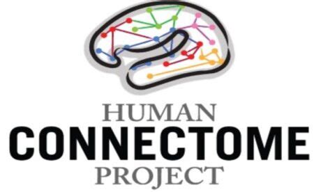 Human Connectome Project HCP چیست آکادمی آنلاین مهندسی پزشکی و هوش