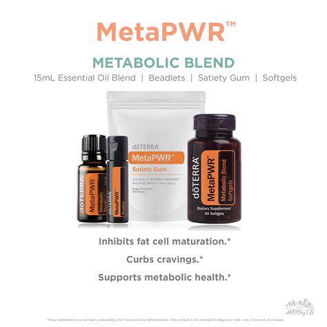 MetaPWR