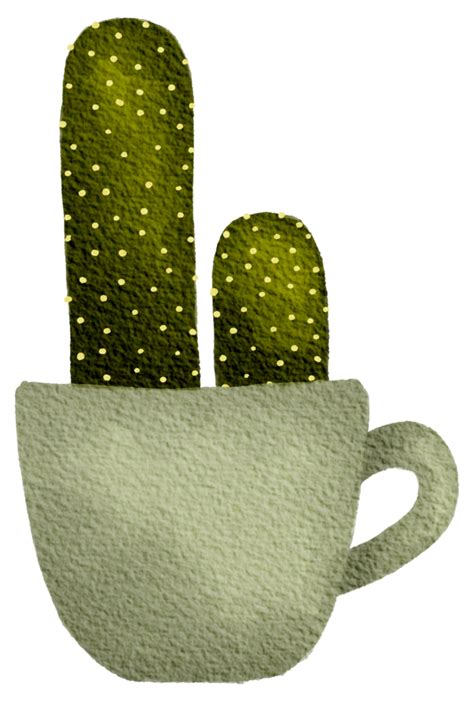 Cactus Suculento Planta Acuarela Png