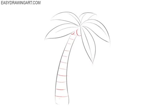 How To Draw A Palm Tree Easy Drawing Art Drawings Palm Trees Easy