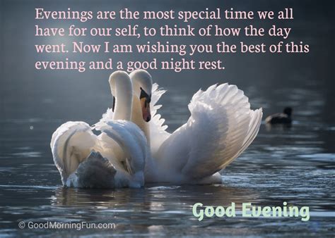 Cute Good Evening Quotes With Hd Images Greetings Good Morning Fun