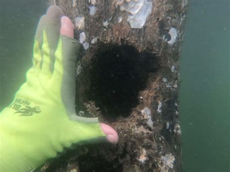 Effortless Dock Maintenance: Expert Tips For A Well-Maintained