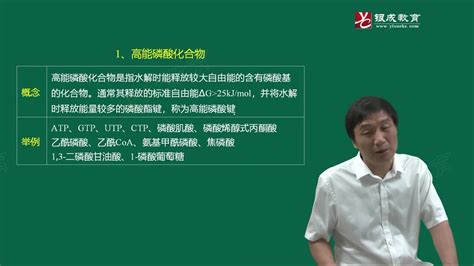 贺银成执业助理医师考试视频 三十天通关大讲堂 生物化学 生化 哔哩哔哩