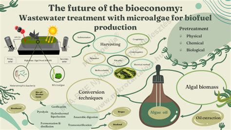 Wastewater Treatment With Microalgae For Biofuel Production Mikropédia