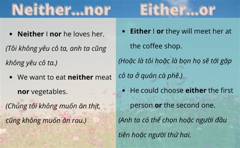 Phân Biệt Cách Dùng Giữa Both Both Of Neither Neither Of Either