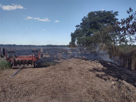 Bituca De Cigarro Provoca Inc Ndio Em Hectares De Propriedade