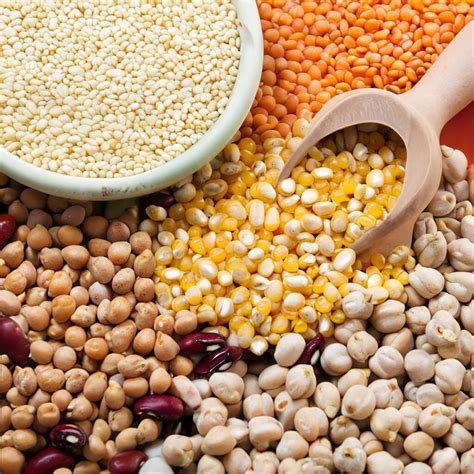 Myanmars Pulses Exports Surge Garnering Us Mln In Months