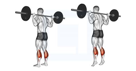 Dumbbell Seated One Leg Calf Raise Guide Benefits And Form