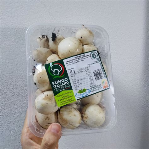 Vemondo Funghi Champignon Reviews Abillion