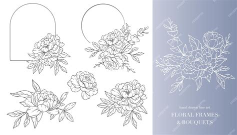 Premium Vector | Peony flower line art floral frames and bouquets line ...