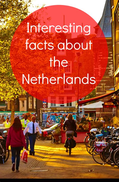 75 Fun Facts About The Netherlands You Need To Know Netherlands Facts Fun Facts Netherlands