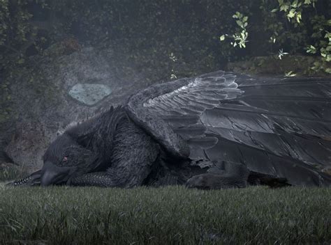 Black Gryphon - Lying in a forest | Mythical creatures, Fantasy creatures art, Forest creatures