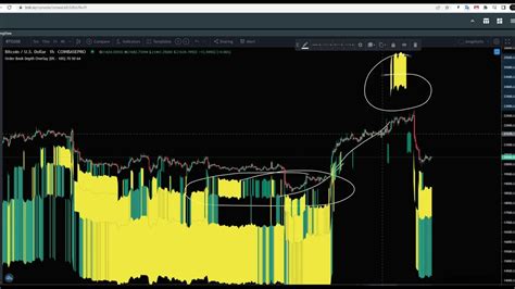 Bitcoin Price Update All You Need To Know In Just 3 Minutes Bounce