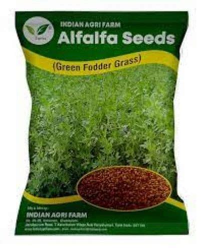 Natural Fodder Grass Seeds Packaging Type Packet Packaging Size 500 Gm At Rs 14999 Kg In Rajkot