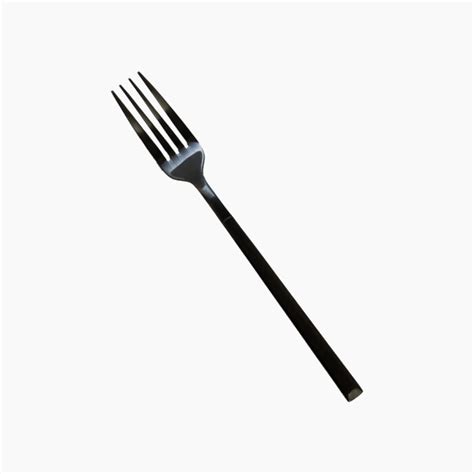 Black Fork Party Guide