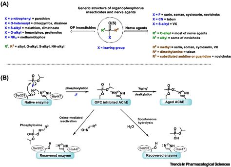 Countermeasures In Organophosphorus Intoxication Pitfalls And