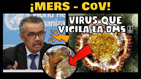 Alerta Cient Ficos Revelar An Caracter Sticas Del Mers Cov El Virus