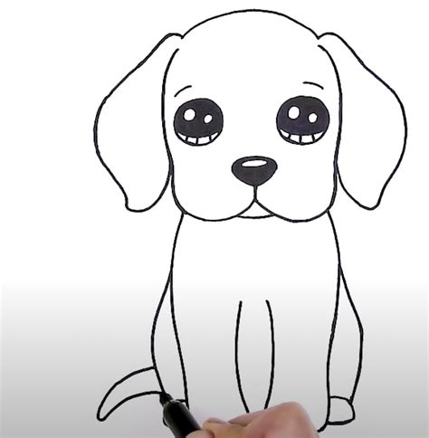 Learn To Draw A Beagle: Easy Step-by-Step Guide for Beginners - Rocky ...