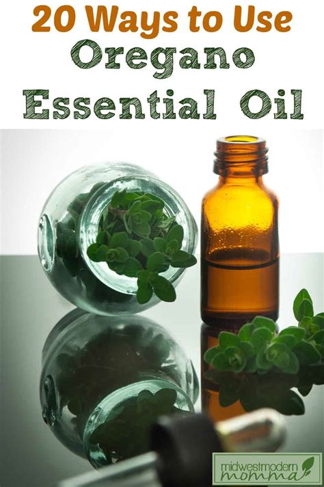 20 Uses For Oregano Essential Oil Essential Oil Uses For A Healthy Life