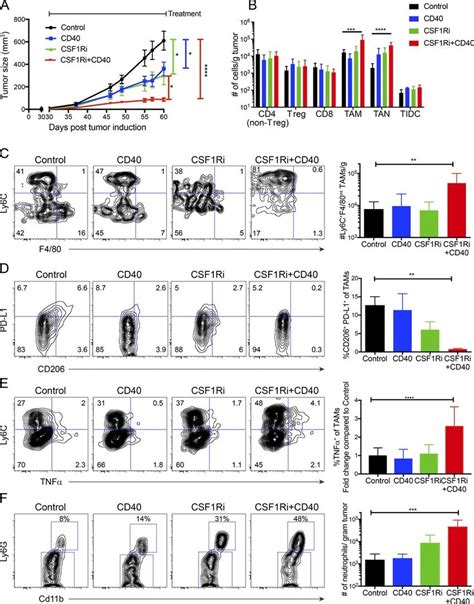 Effects Of Csf 1ri And Cd40 Agonist Treatment Alone Or In Combination