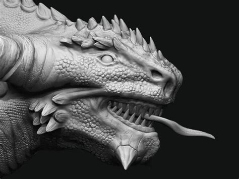 Artstation Dragon Head 3d Model Resources