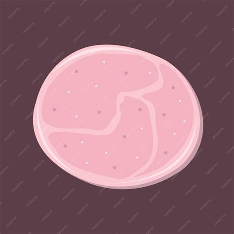 Premium Vector Ham Slice Illustration