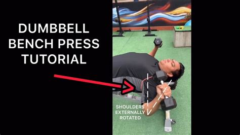 Dumbbell Bench Press Tutorial Youtube