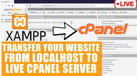 LIVE How To Migrate Your Website From Localhost Xampp To Live CPanel