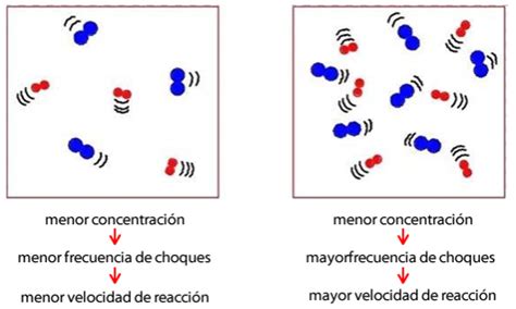 Factores Que Afectan A La Velocidad De Reacción Mind Map