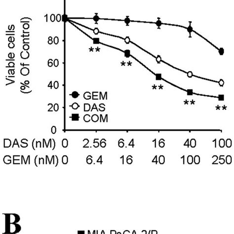 The Synergistic Anti Proliferative Effects By Combination Of Dasatinib