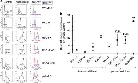 Chromosomal Instability A The Number Of Cells In G0g1 S And G2m