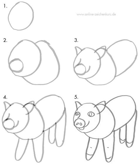 Schweine Zeichnen Anleitung F R Kinder Und Einsteiger
