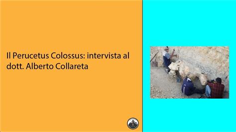 Il Perucetus Colossus Intervista Al Dott Alberto Collarreta YouTube