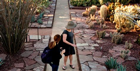 Asla Professional Awards Ottosen Entry Garden Desert Botanical