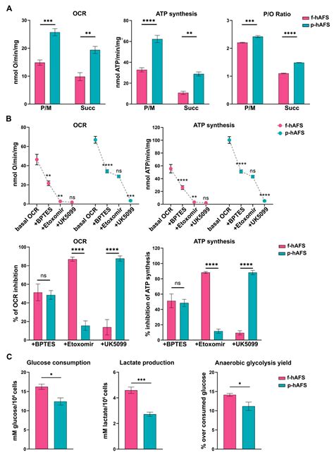 Ijms Free Full Text Comprehensive Profiling Of Secretome Formulations From Fetal And