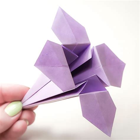 Lotus Flower Origami Instruction Diagram