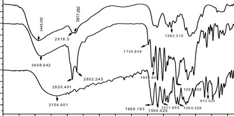 Ft Ir Spectrum Of A Chitosan B Chitosan Nanoparticles And C