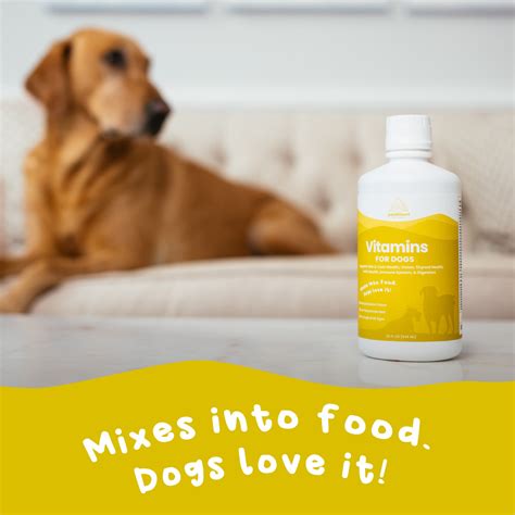 Liquid Vitamins for Dogs — Paramount Pet Health