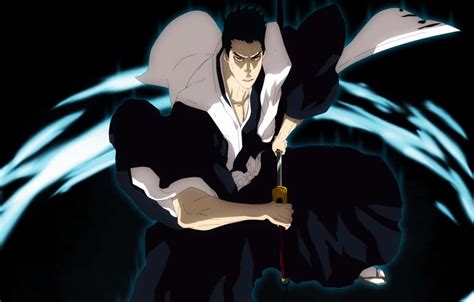 [100+] Isshin Kurosaki Wallpapers | Wallpapers.com