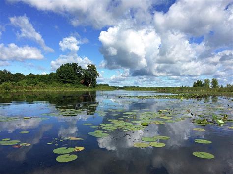 Big Marine Lake Photograph By Sarah Lilja Fine Art America