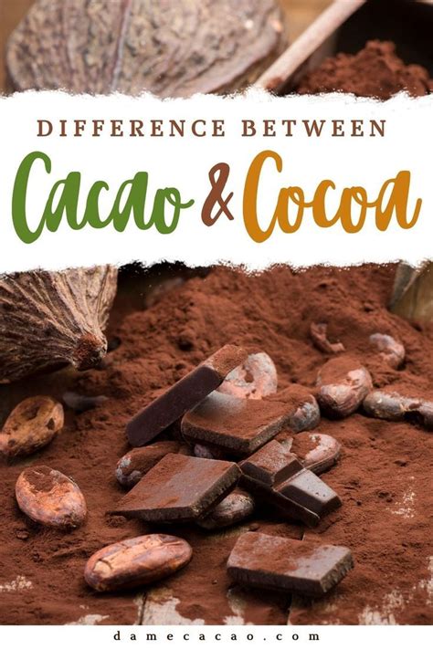 Cacao Vs Cocoa How They Re Different Expert Reveals Artofit