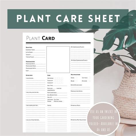 Printable Plant Care Template Best Template Practices