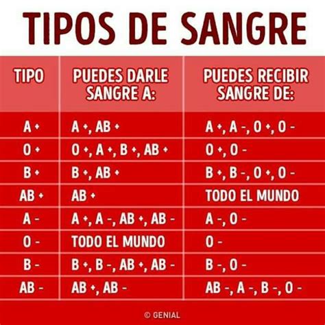 Descubre Los Tipos De Sangre Y Su Significado