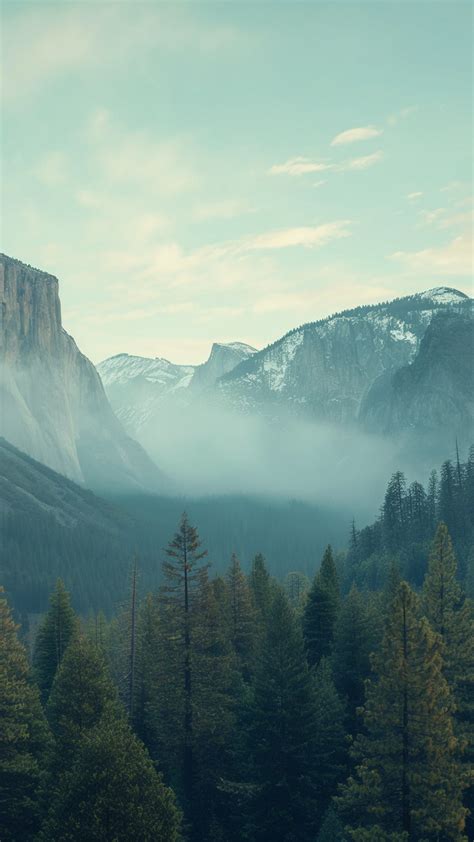 Wallpaper Yosemite K K Wallpaper K Forest Osx Apple Mountains