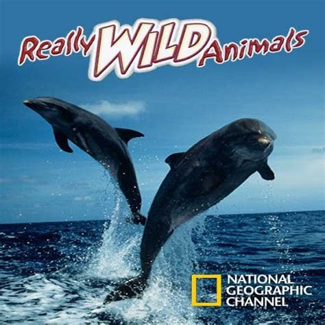 Really Wild Animals: Season 1 - TV on Google Play