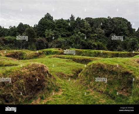 Te Porere, the earthworks of the upper redoubt, autumn. Te Kooti and ...